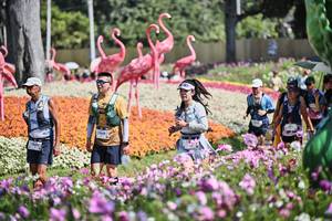 BIB: 
                            <button type="button" onclick="openModal(27794368)" class="btn btn-primary btn-sm float-right btn-popup" data-toggle="modal" data-target=".modal-high-quality">
                        <i class="fas fa-shopping-cart"></i> Add to Cart
                    </button>
                                            <button type="button" onclick="isThisMe(27794368, true)" class="btn btn-success btn-sm float-right btn-popup btn-isme hidden" data-toggle="tooltip" data-placement="bottom" title="นี่คือรูปของคุณใช่ไหม คลิกที่นี่เพื่อเอาเข้าอัลบั้ม">
                        <i class="fas fa-plus"></i> Add to album
                    </button>
                    <button type="button" onclick="isThisMe(27794368, false)" class="btn btn-warning btn-sm float-right btn-popup btn-isnotme hidden">
                        <i class="fas fa-ban"></i> Remove from album
                    </button>